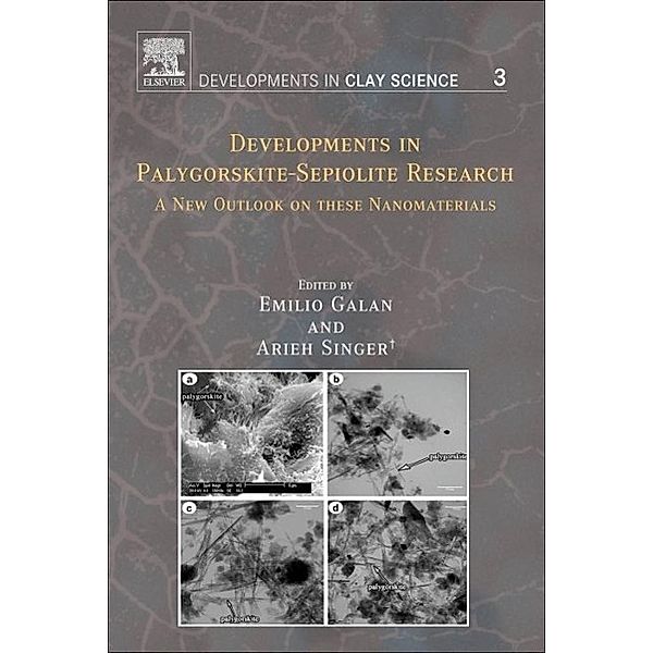 Singer, A: Developments in Palygorskite-Sepiolite Research, Arieh Singer