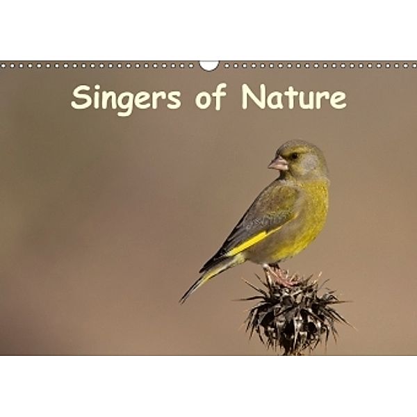 Singers of Nature (Wall Calendar 2017 DIN A3 Landscape), H. Caglar Gungor
