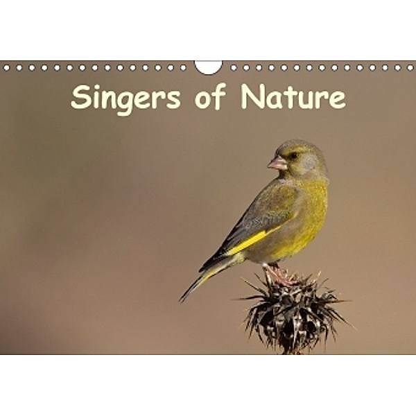 Singers of Nature (Wall Calendar 2017 DIN A4 Landscape), H. Caglar Gungor