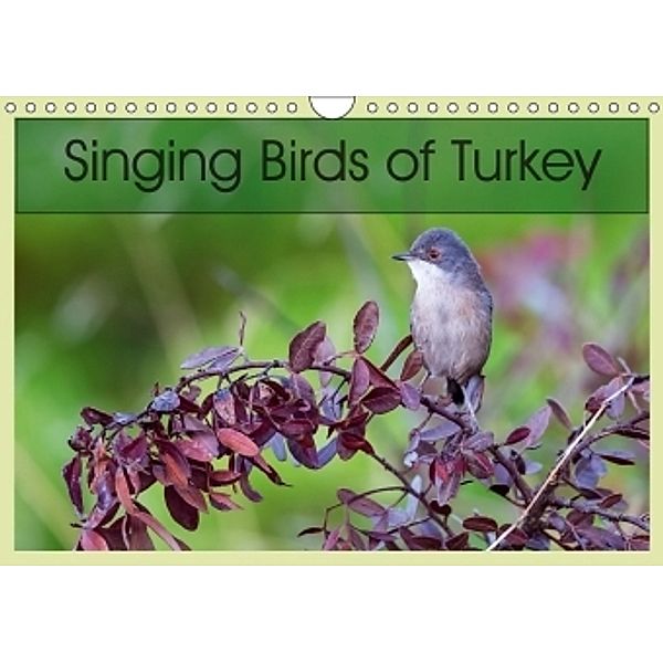 Singing Birds of Turkey (Wall Calendar 2017 DIN A4 Landscape), H. Caglar Gungor