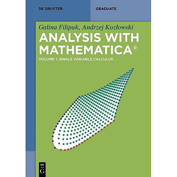 Single Variable Calculus / De Gruyter Textbook, Galina Filipuk, Andrzej Kozlowski