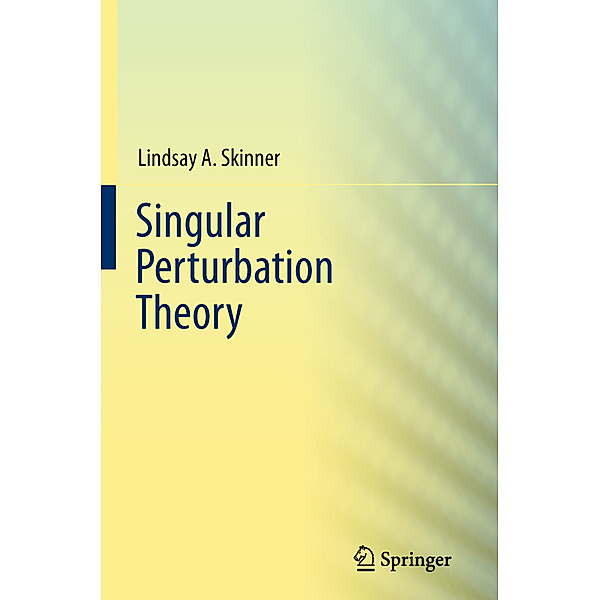 Singular Perturbation Theory, Lindsay A. Skinner