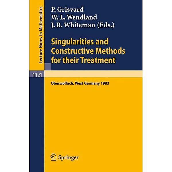 Singularities and Constructive Methods for Their Treatment