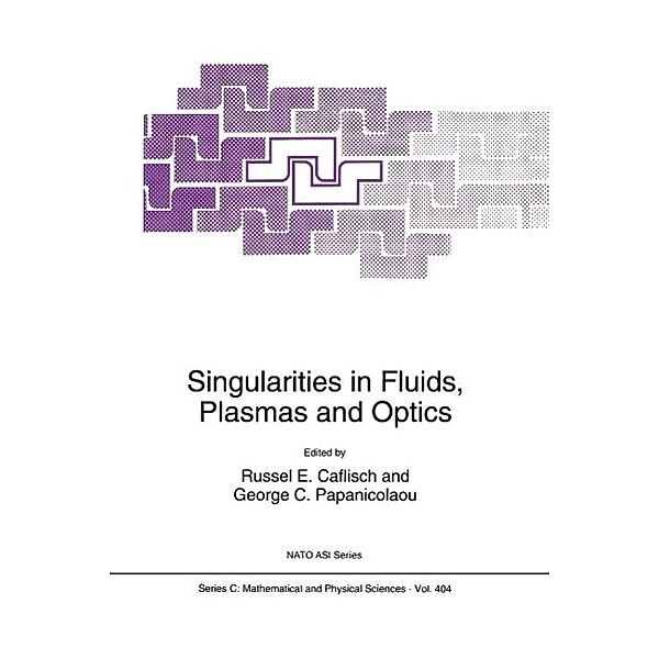 Singularities in Fluids, Plasmas and Optics / Nato Science Series C: Bd.404