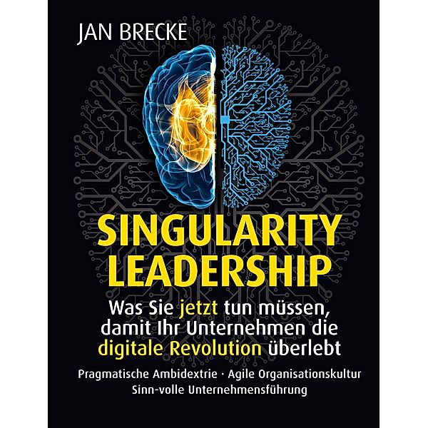 Singularity Leadership, Jan Brecke