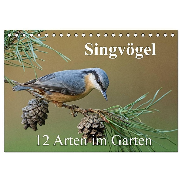 Singvögel - 12 Arten im Garten (Tischkalender 2024 DIN A5 quer), CALVENDO Monatskalender, BIA birdimagency