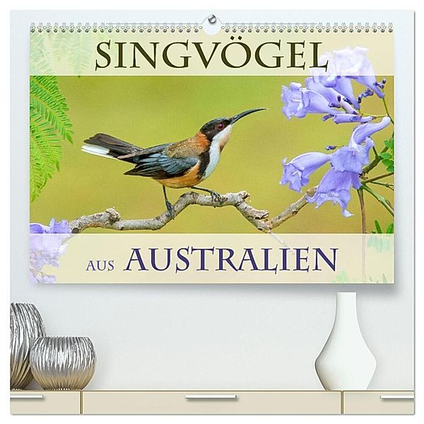 Singvögel aus Australien (hochwertiger Premium Wandkalender 2024 DIN A2 quer), Kunstdruck in Hochglanz, BIA birdimagency