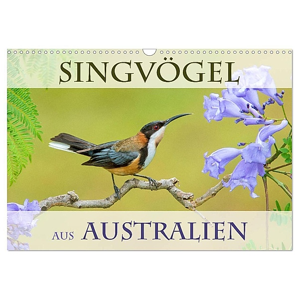 Singvögel aus Australien (Wandkalender 2024 DIN A3 quer), CALVENDO Monatskalender, BIA birdimagency