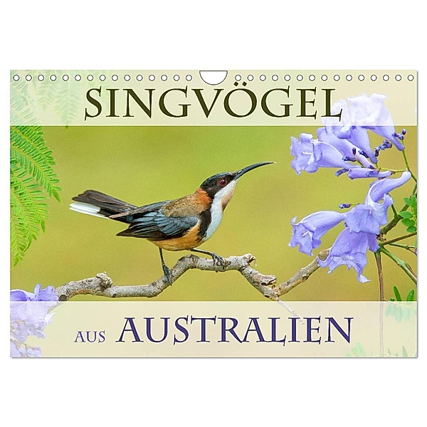 Singvögel aus Australien (Wandkalender 2024 DIN A4 quer), CALVENDO Monatskalender, BIA birdimagency