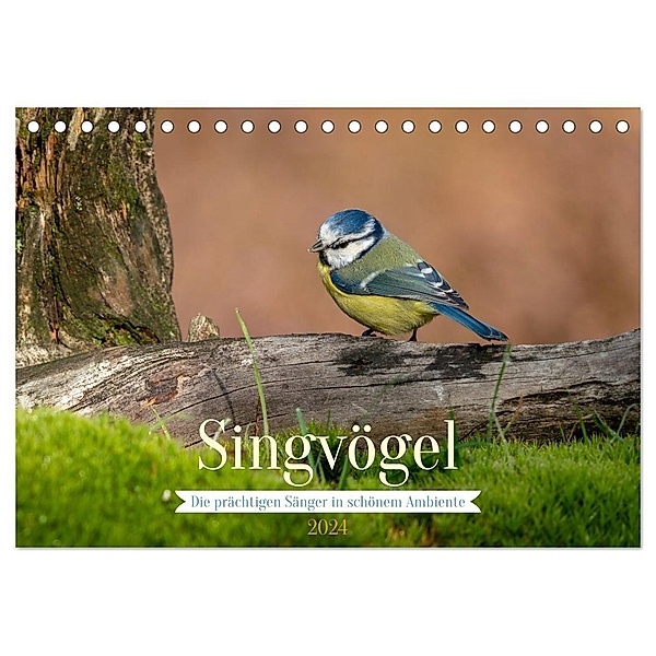 SINGVÖGEL - Die prächtigen Sänger in schönem Ambiente. (Tischkalender 2024 DIN A5 quer), CALVENDO Monatskalender, Arne Wünsche