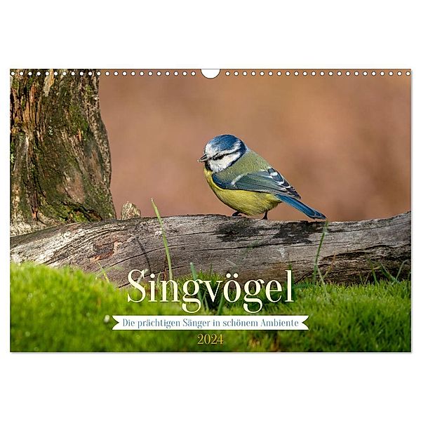 SINGVÖGEL - Die prächtigen Sänger in schönem Ambiente. (Wandkalender 2024 DIN A3 quer), CALVENDO Monatskalender, Arne Wünsche