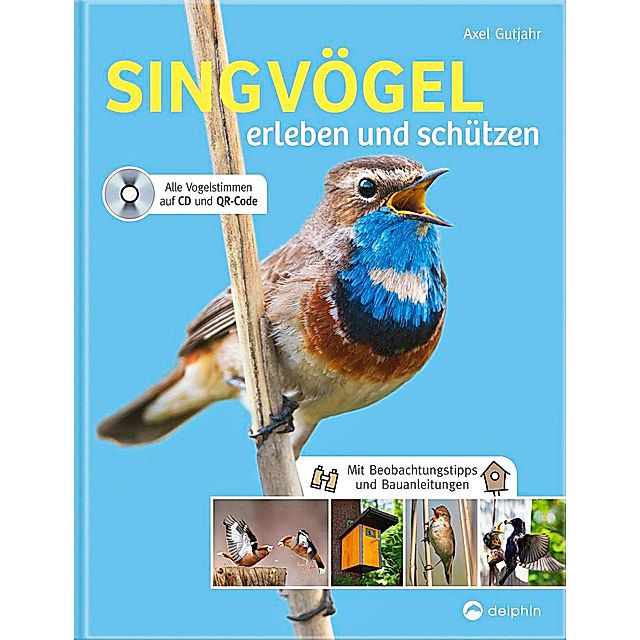 Singvögel erleben und schützen, m. Audio-CD Buch - Weltbild.de