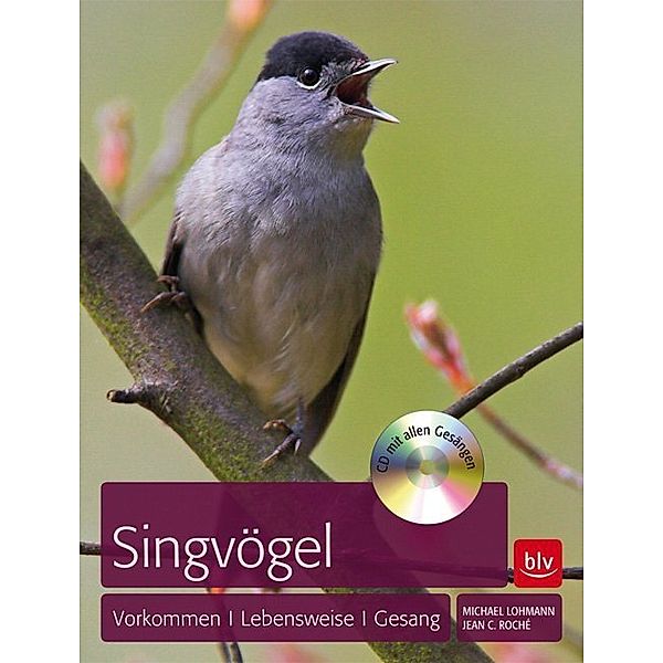 Singvögel, m. Audio-CD, Michael Lohmann