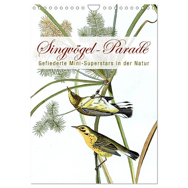 Singvögel-Parade (Wandkalender 2024 DIN A4 hoch), CALVENDO Monatskalender, Babette Reek