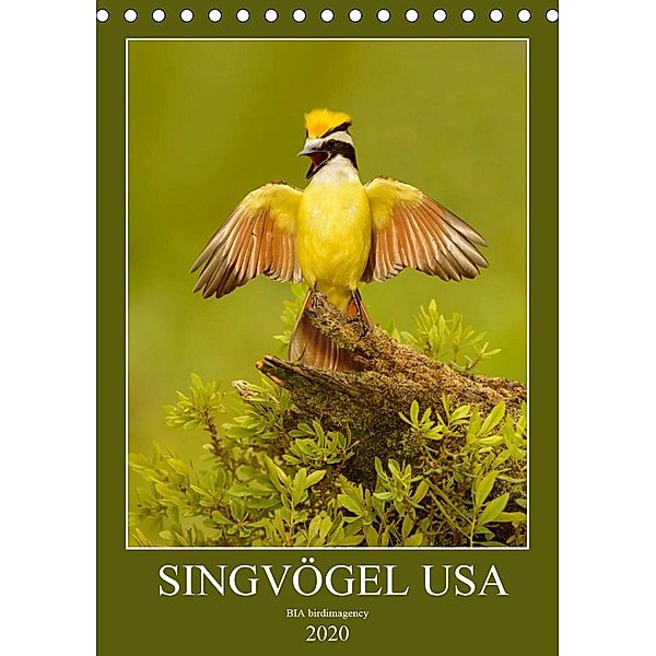 Singvögel USA (Tischkalender 2020 DIN A5 hoch), BIA birdimagency