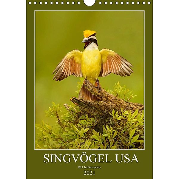 Singvögel USA (Wandkalender 2021 DIN A4 hoch), BIA birdimagency