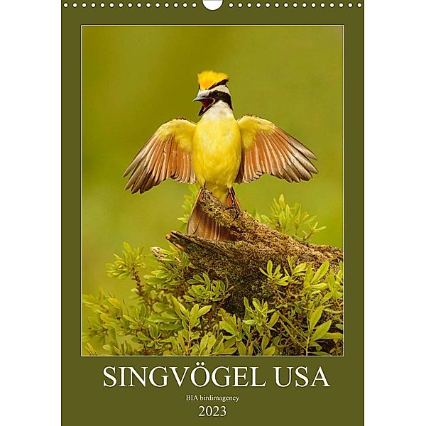 Singvögel USA (Wandkalender 2023 DIN A3 hoch), BIA birdimagency