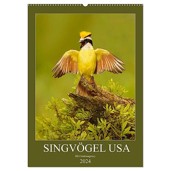 Singvögel USA (Wandkalender 2024 DIN A2 hoch), CALVENDO Monatskalender, BIA birdimagency
