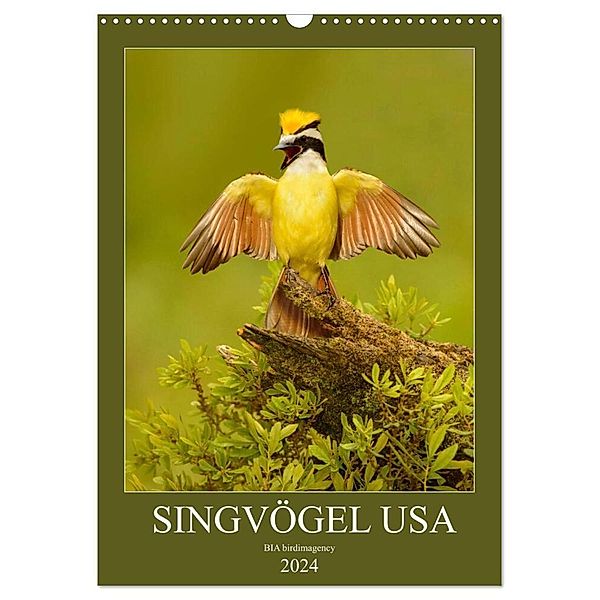 Singvögel USA (Wandkalender 2024 DIN A3 hoch), CALVENDO Monatskalender, BIA birdimagency