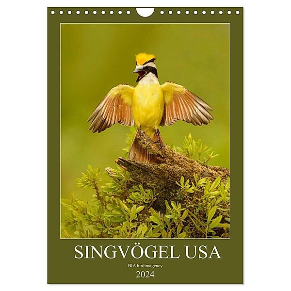 Singvögel USA (Wandkalender 2024 DIN A4 hoch), CALVENDO Monatskalender, BIA birdimagency