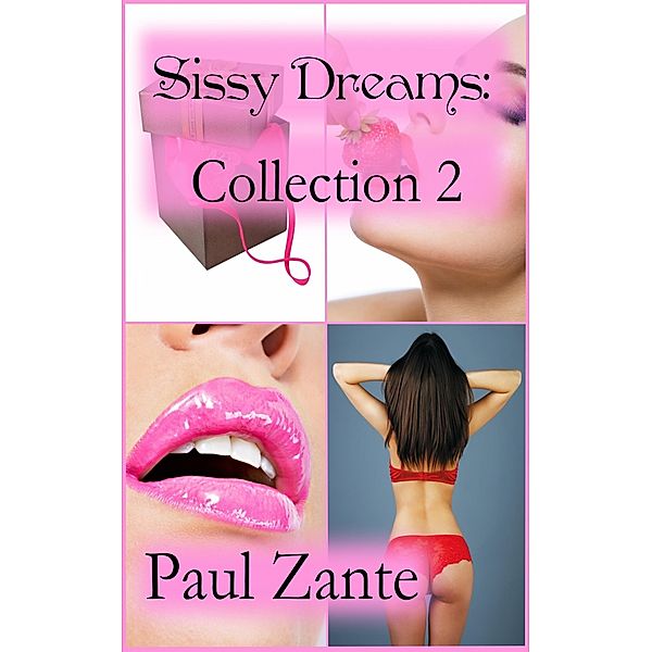 Sissy Dreams: Collection 2, Paul Zante