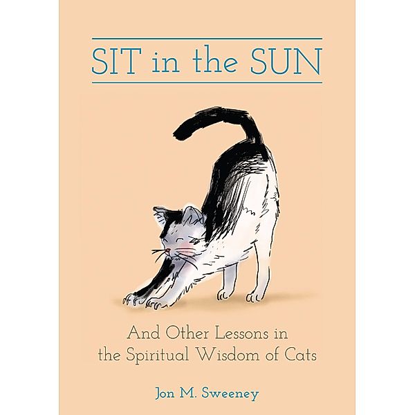 Sit in the Sun, Jon M. Sweeney