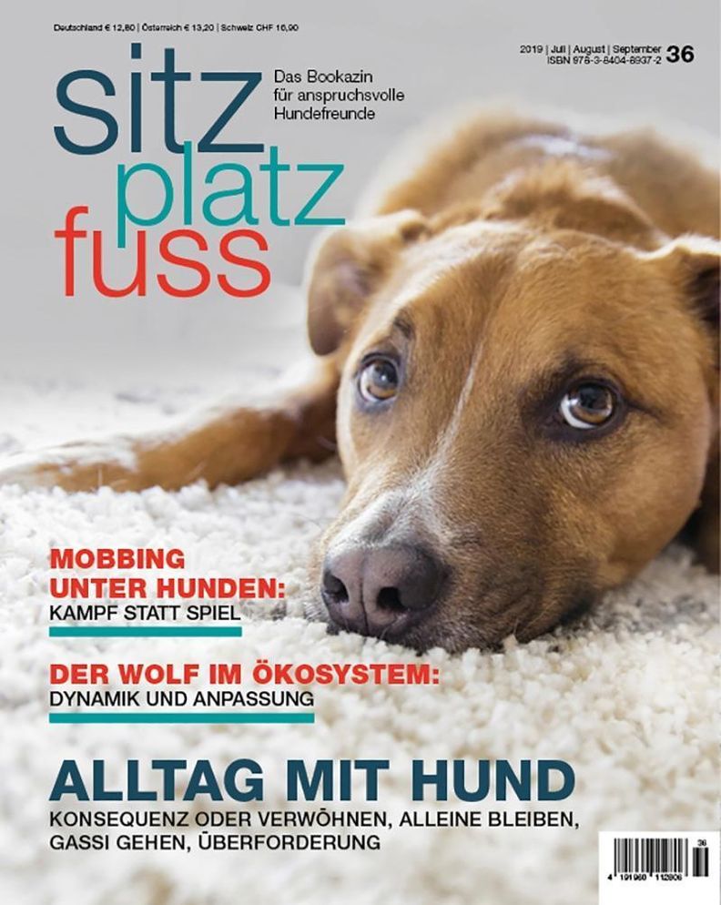 Sitz-Platz-Fuss: 36 2019 Alltag mit Hund Buch jetzt online bei Weltbild.ch  bestellen