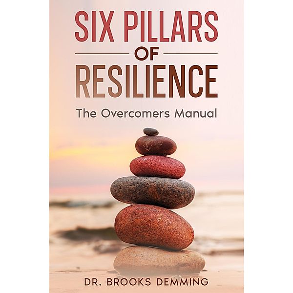 Six Pillars of Resilience, Brooks Demming
