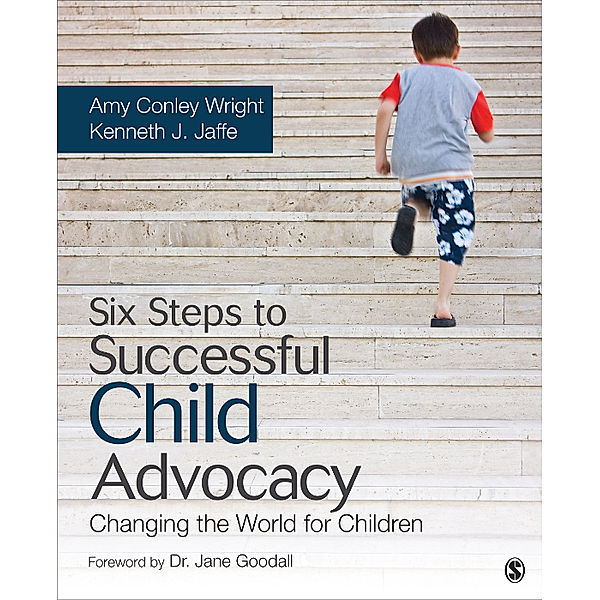 Six Steps to Successful Child Advocacy, Amy Conley Wright, Kenneth J. Jaffe