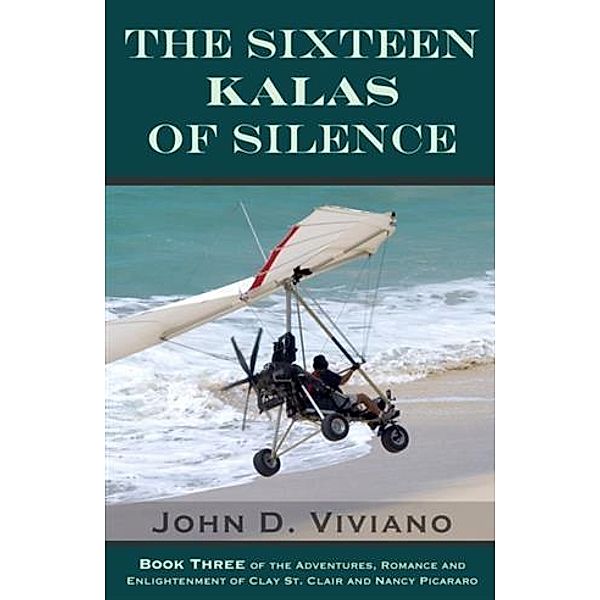 Sixteen Kalas of Silence, John D. Viviano