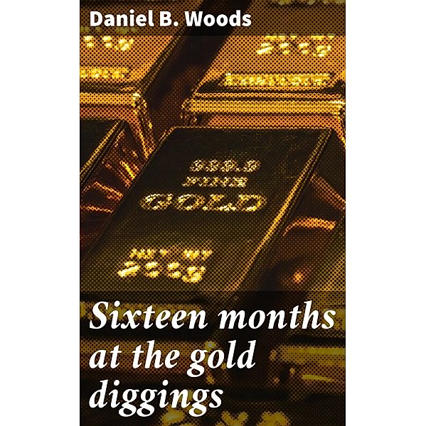 Sixteen months at the gold diggings, Daniel B. Woods