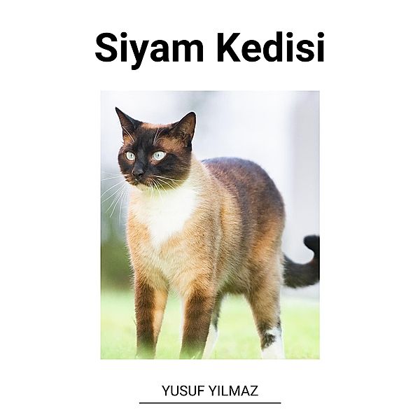 Siyam Kedisi, Yusuf Yilmaz