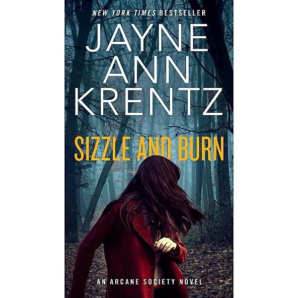Sizzle and Burn / An Arcane Society Novel Bd.3, Jayne Ann Krentz