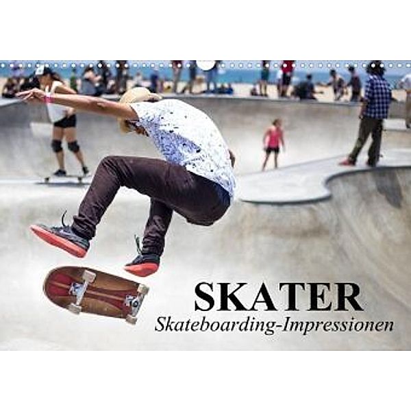 Skater. Skateboarding-Impressionen (Wandkalender 2022 DIN A3 quer), Elisabeth Stanzer