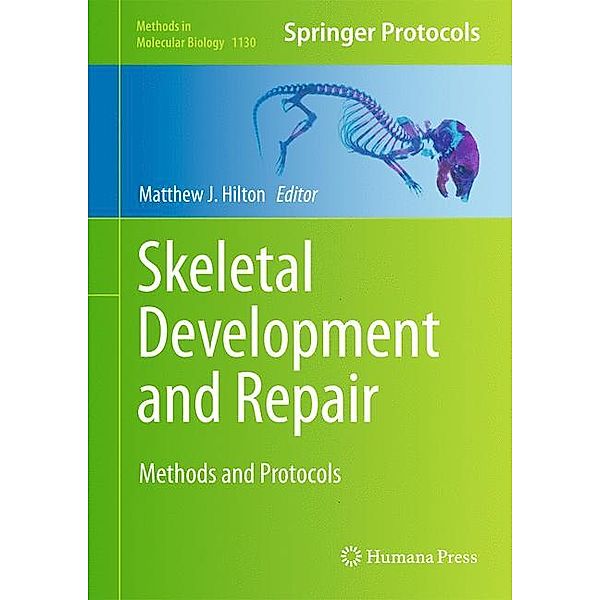 Skeletal Development and Repair