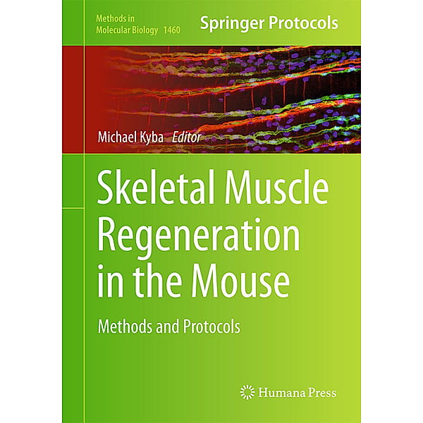 Skeletal Muscle Regeneration in the Mouse