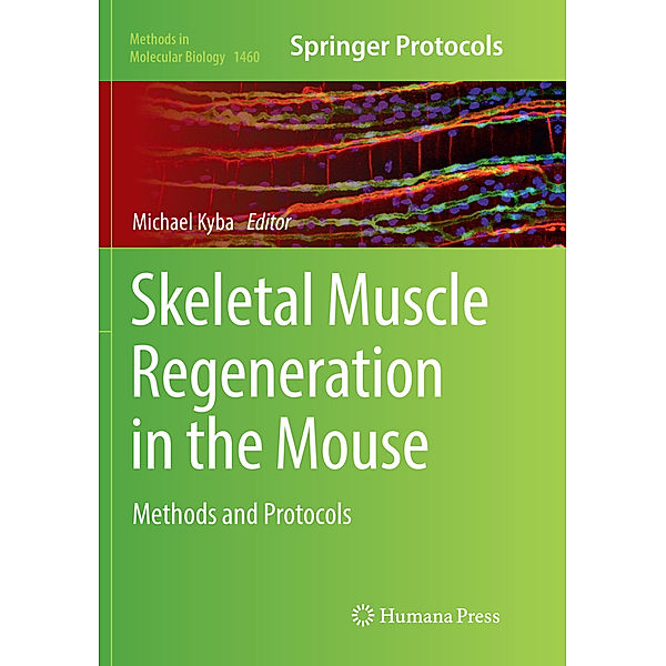 Skeletal Muscle Regeneration in the Mouse