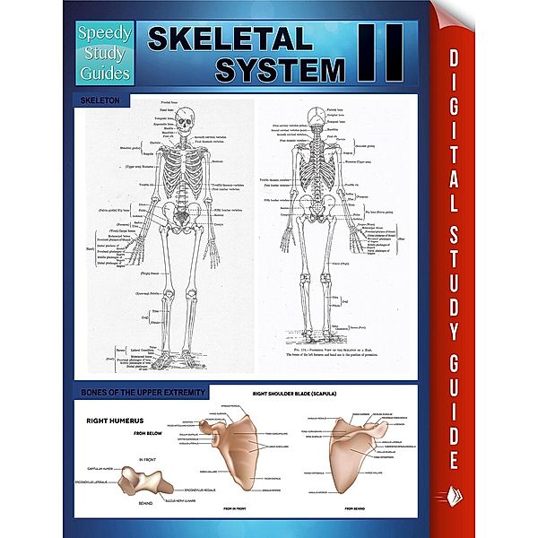 Skeletal System II (Speedy Study Guides), Speedy Publishing