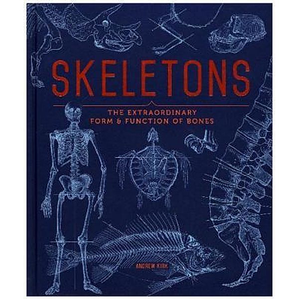 Skeletons, Andrew Kirk