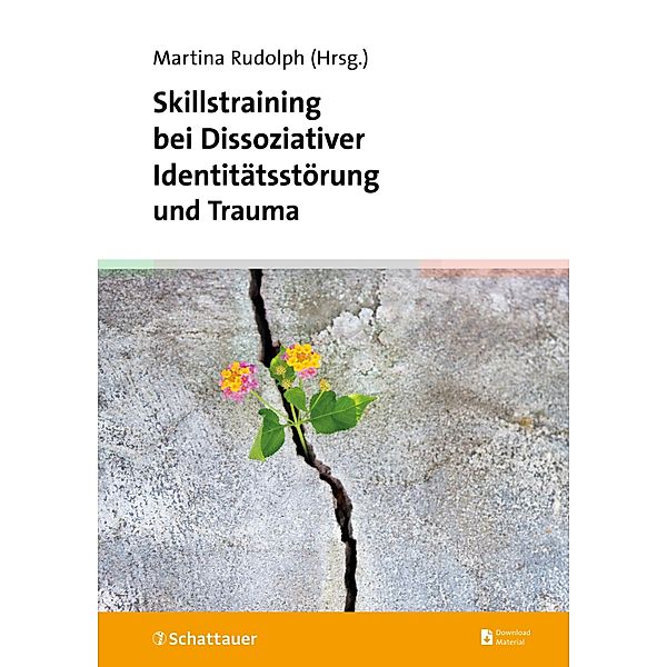 Skillstraining bei Dissoziativer Identitätsstörung und Trauma