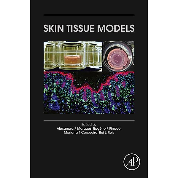 Skin Tissue Models