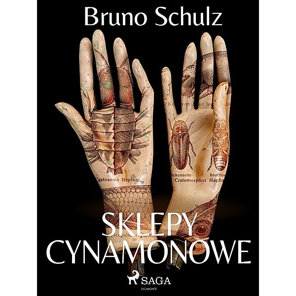 Sklepy cynamonowe - zbiór, Bruno Schulz