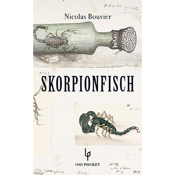 Skorpionfisch, Nicolas Bouvier