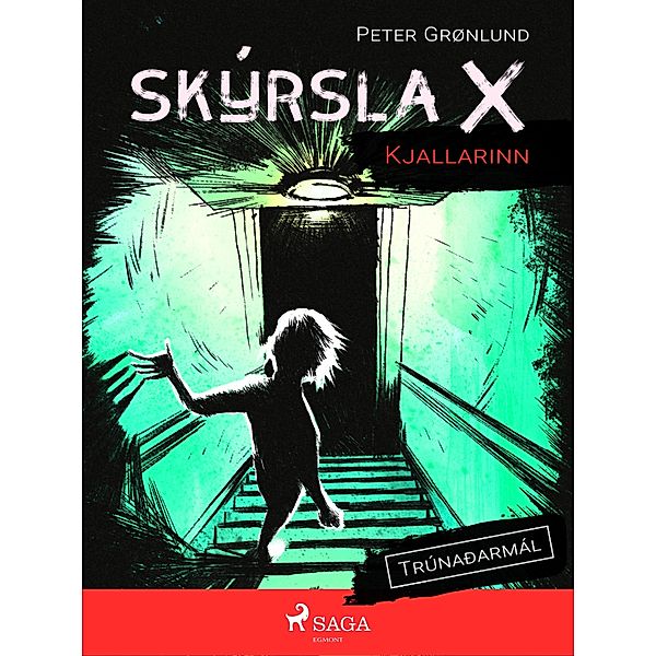 Skýrsla X - Kjallarinn / Skýrsla X Bd.6, Peter Grønlund