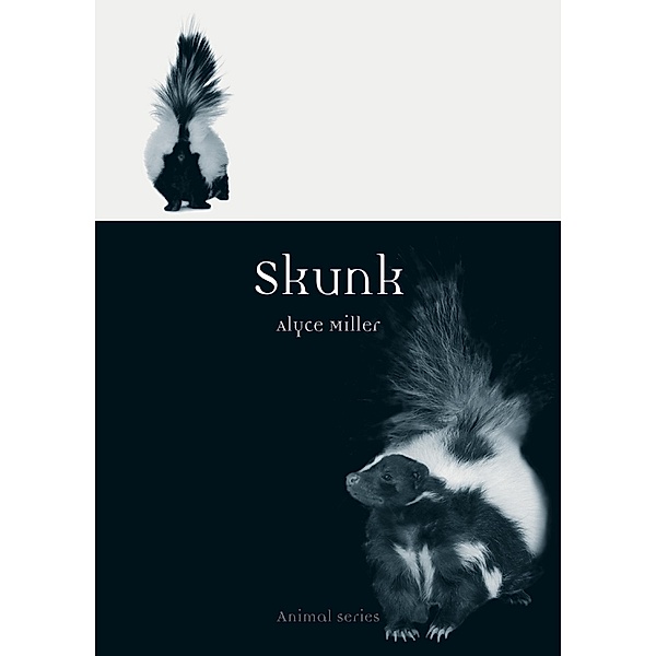 Skunk / Animal, Miller Alyce L. Miller