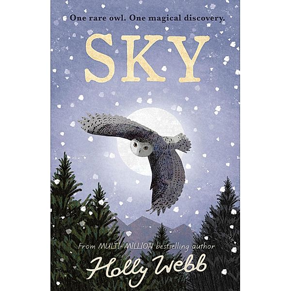 Sky, Holly Webb