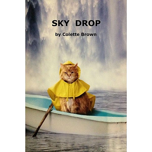 Sky Drop / Colette Brown, Colette Brown