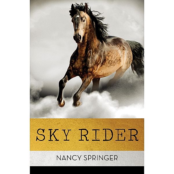 Sky Rider, Nancy Springer