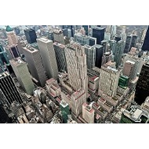 Skyview New York (Puzzle)