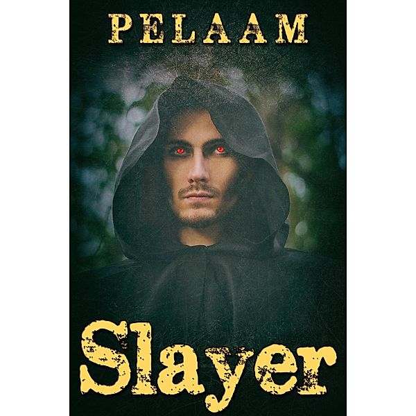 Slayer, Pelaam